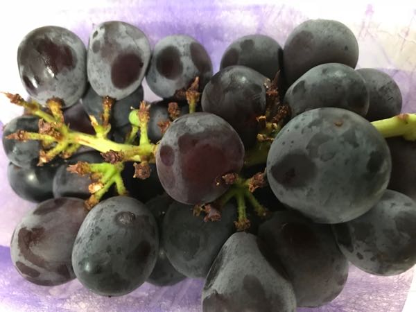 rblog-20180925190901-03.jpg
