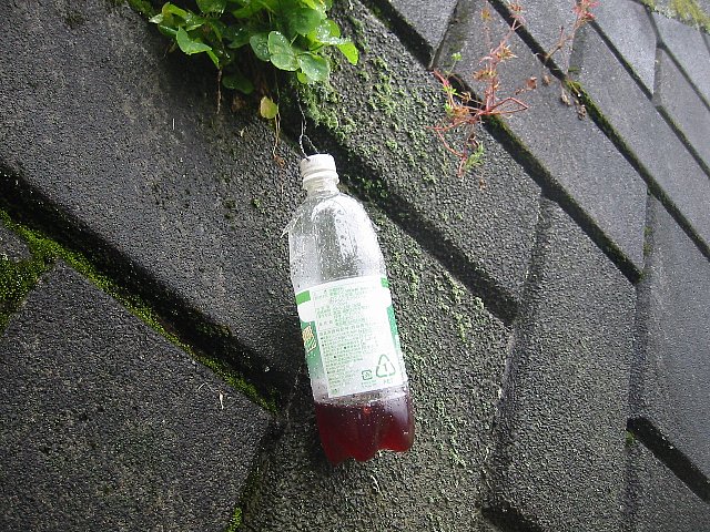 20120616_000.jpg