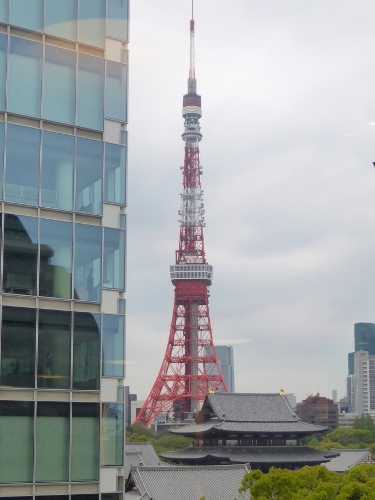 P1000640 (375x500).jpg