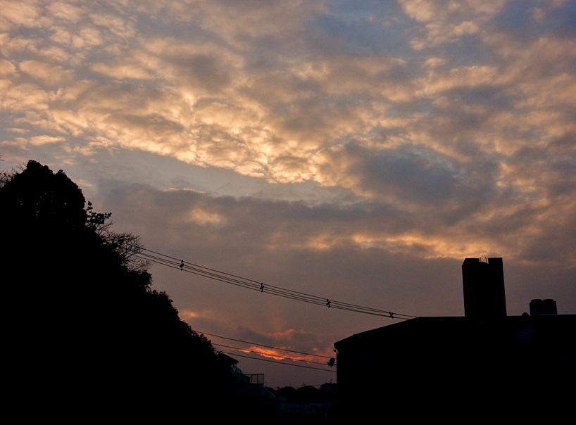 夕暮れ3.JPG