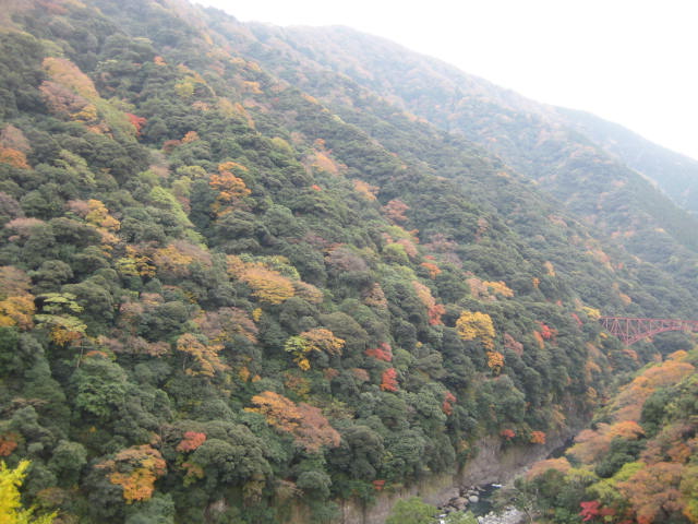 IMG_1380.JPG