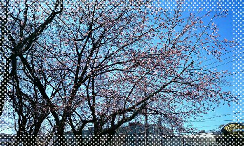 rblog-20150311211938-01.jpg