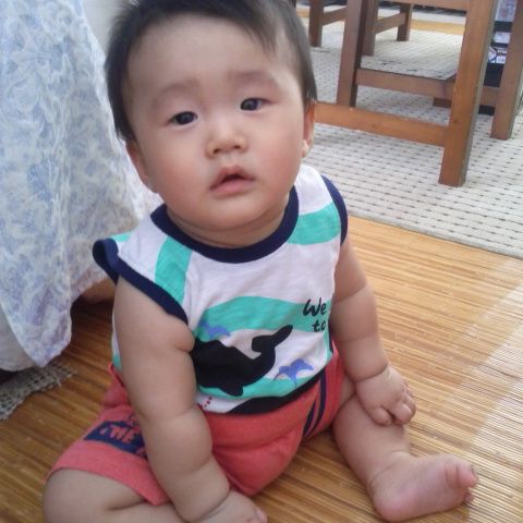 この感触は サイボーグ０２３ 楽天ブログ