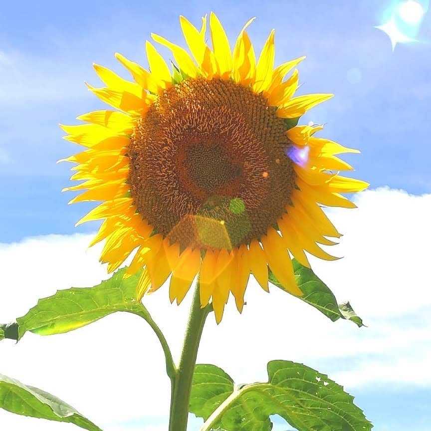 自分を一番大事に★