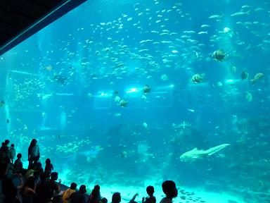 P1150273海洋博物館１０.jpg