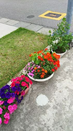 rblog-20180608175632-05.jpg