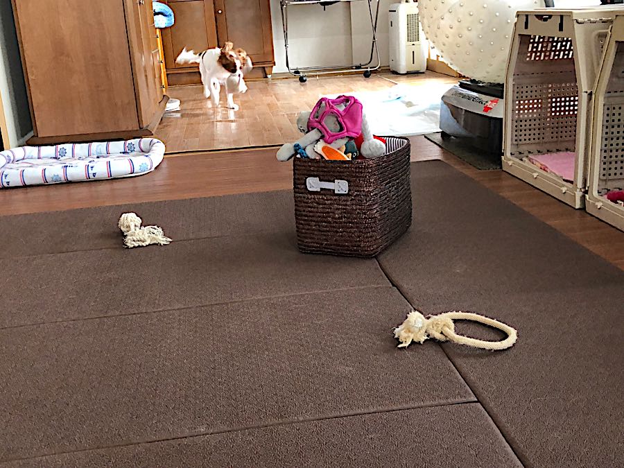 rblog-20181016090214-05.jpg