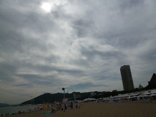 P1110591(1).JPG