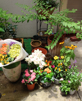 花