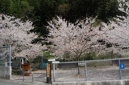 DSC_0039.jpg