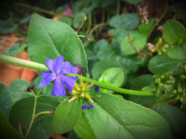 rblog-20160725204340-03.jpg