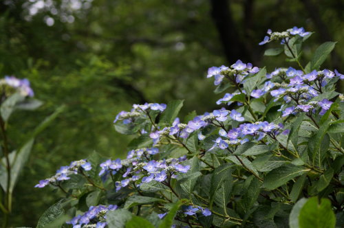 20140618_27.jpg