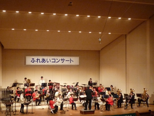 P1150715 (500x375).jpg