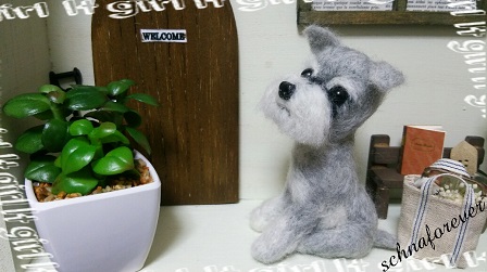 シュナb4.jpg