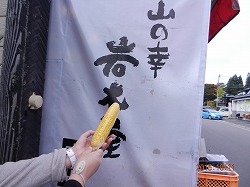 DSCN8411.jpg