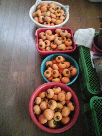 121031_161212.jpg
