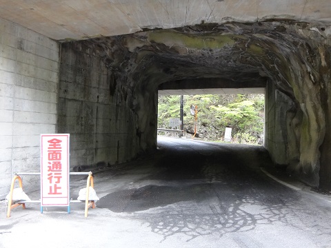 DSC09031.JPG