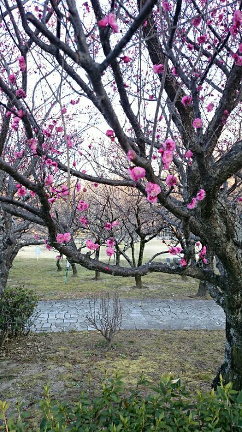 rblog-20170220132823-01.jpg