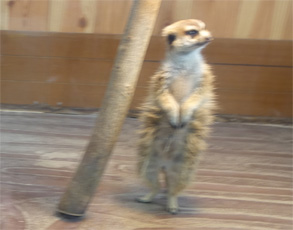 那須42.jpg
