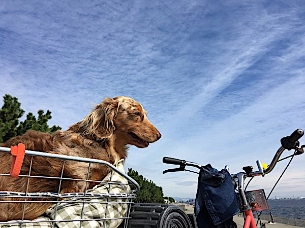 rblog-20171005143322-01.jpg
