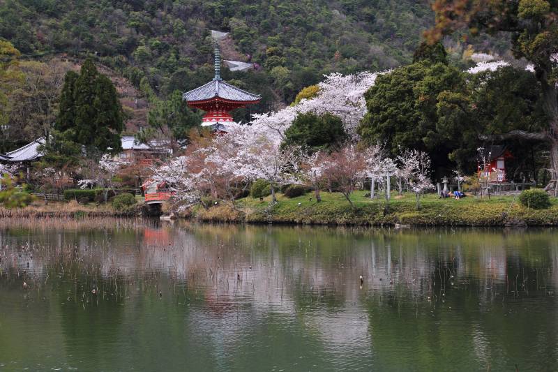大沢池_003.jpg