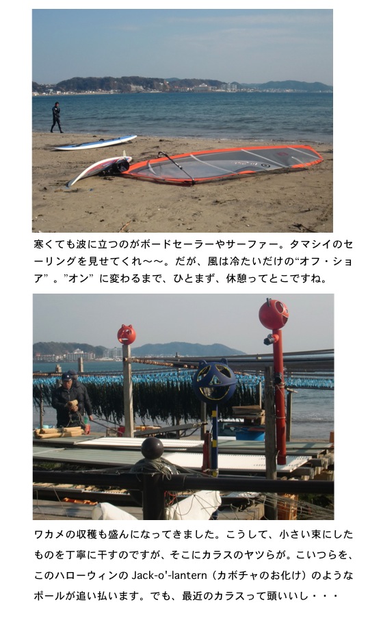2012.03.03-4.jpg