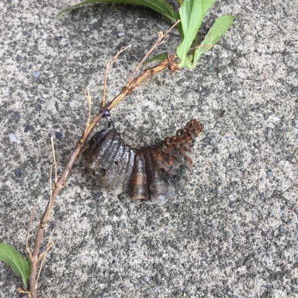 rblog-20180702212736-03.jpg