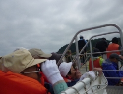 P1030962little.JPG