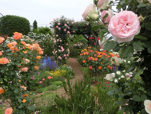 オープンガーデン