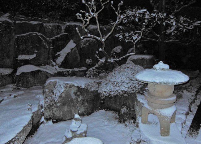 雪景色