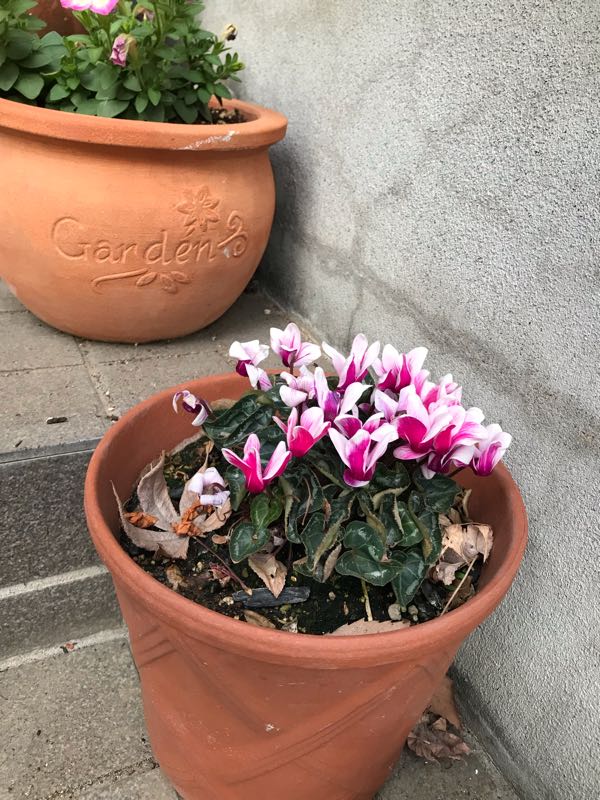 rblog-20190423182202-07.jpg