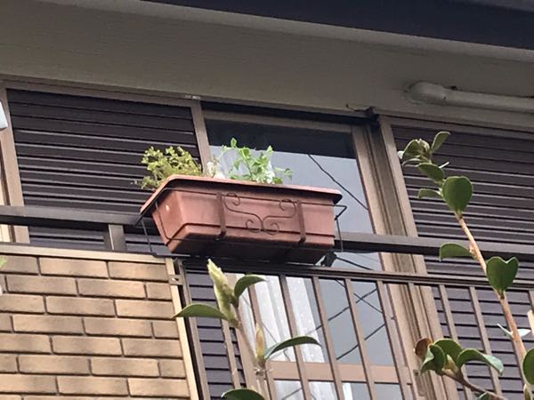 rblog-20190423182704-06.jpg