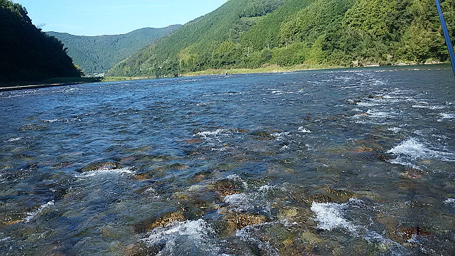 resize0009.jpg