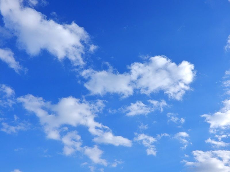 空4