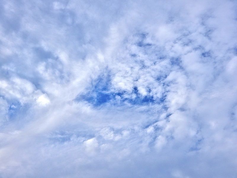 空4