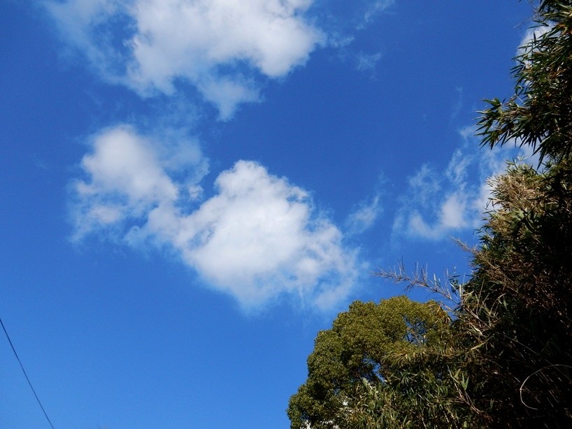 空