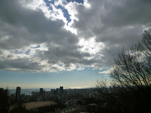 P1140905(1).JPG