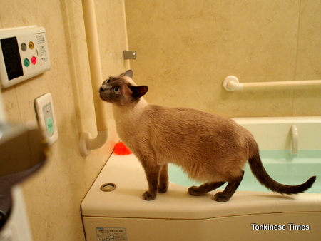 もにゃ in a bath 2