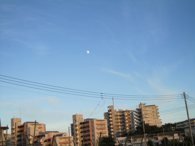 20120828月.jpg