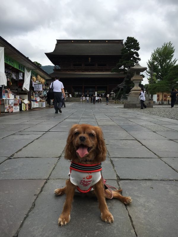 rblog-20160707150521-05.jpg