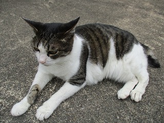 IMG_4972ss.jpg