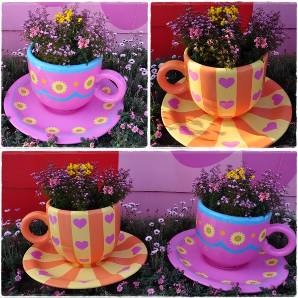 カップのお花