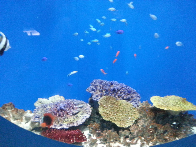 20130504_145325.jpg