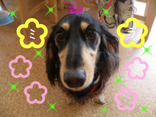 ﾐﾗ.JPG