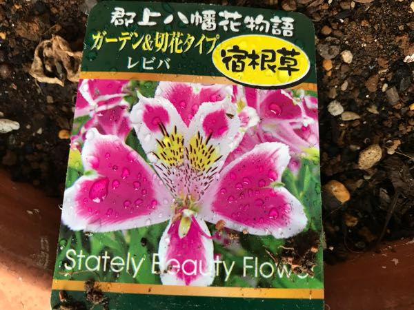 rblog-20180328190757-09.jpg
