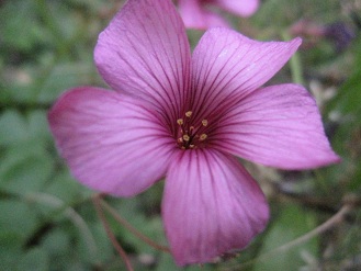IMG_8835_1.JPG