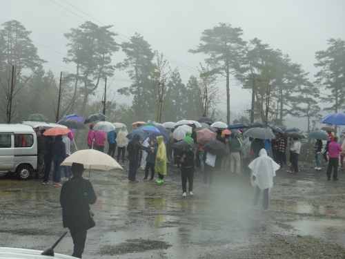 さくら道国際ネイチャーラン12