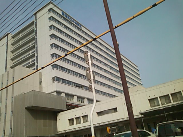 SN3F0017.JPG