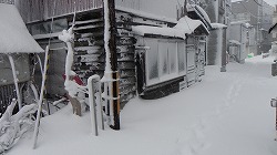 2外.jpg
