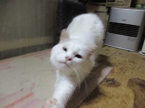 16a0680.jpg